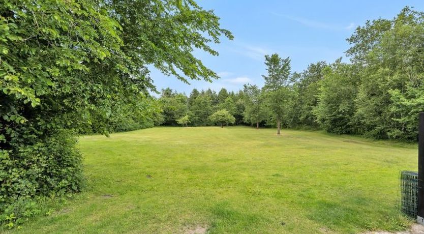 Photo of "Tokki" - 20km from the sea