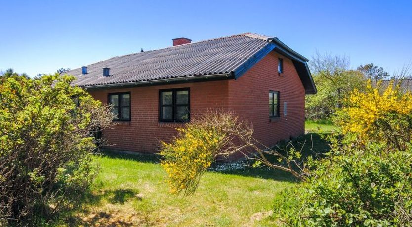 Photo of "Duco" - 300m from the sea