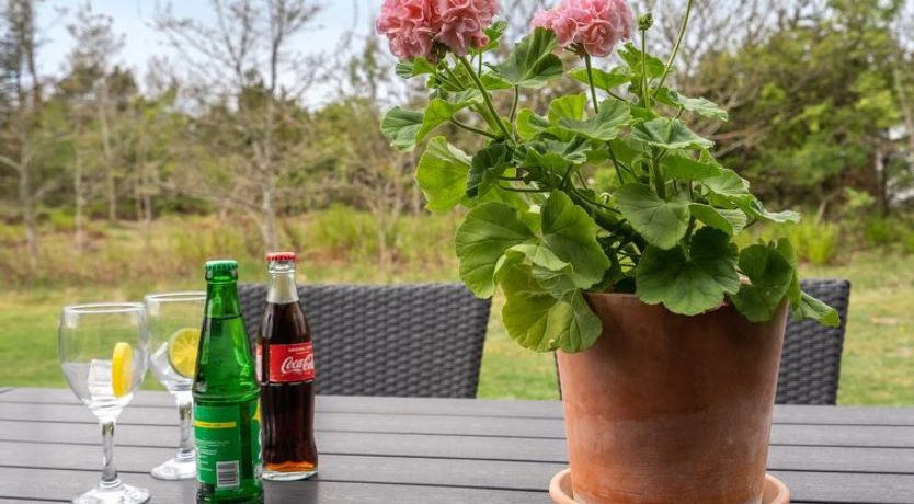 Photo of "Birette" - 1.5km from the sea