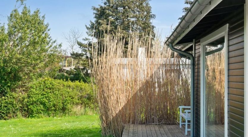 Photo of "Bassi" - 650m from the sea