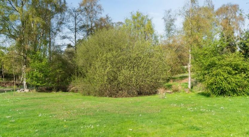 Photo of "Bassi" - 650m from the sea