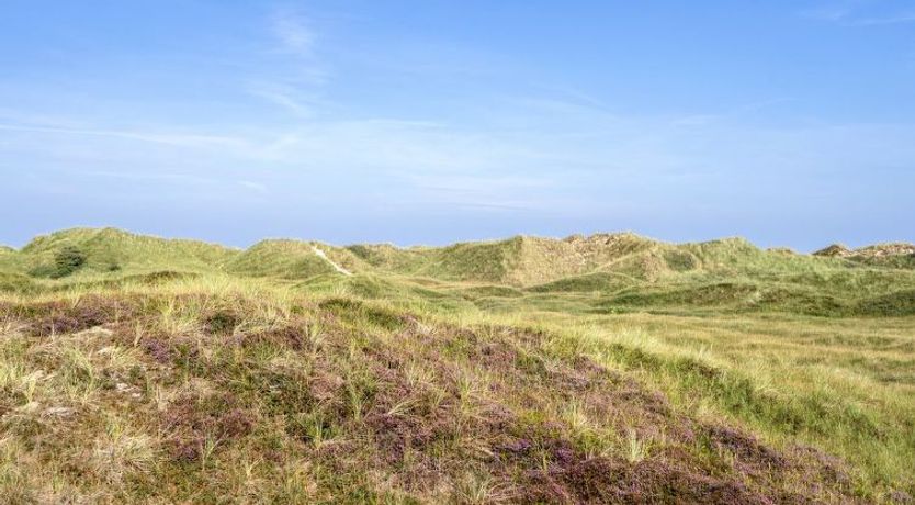 Photo of "Marjon" - 400m from the sea