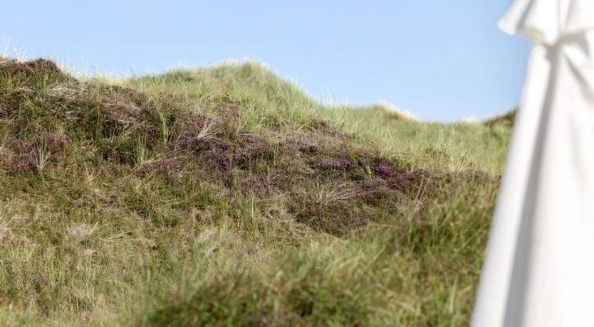 Photo of "Marjon" - 400m from the sea