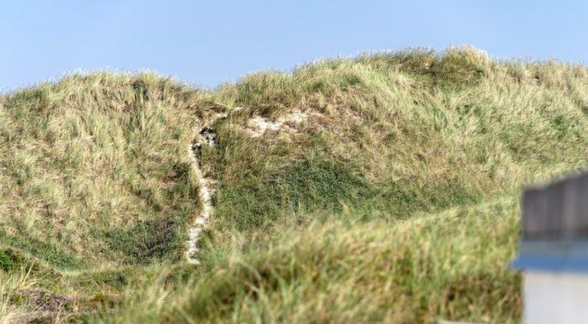 Photo of "Marjon" - 400m from the sea