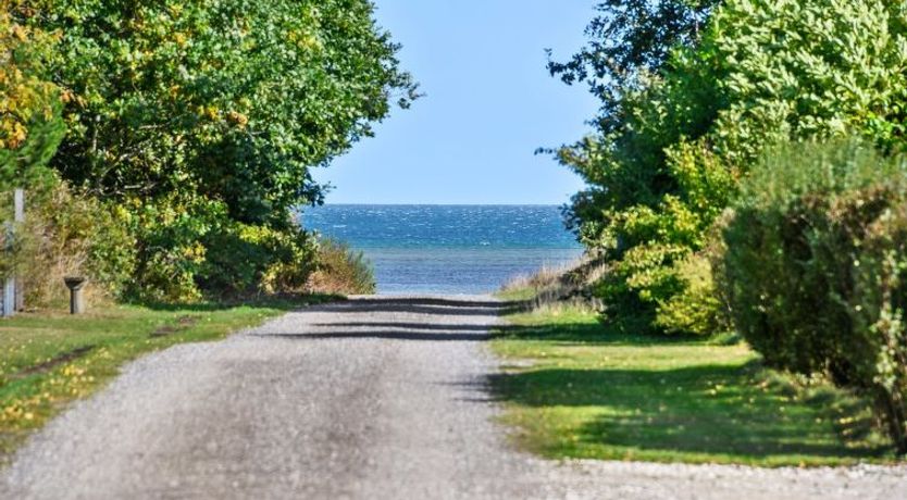 Photo of "Indira" - 500m from the sea