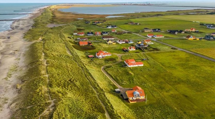 Photo of "Ali" - 75m from the sea