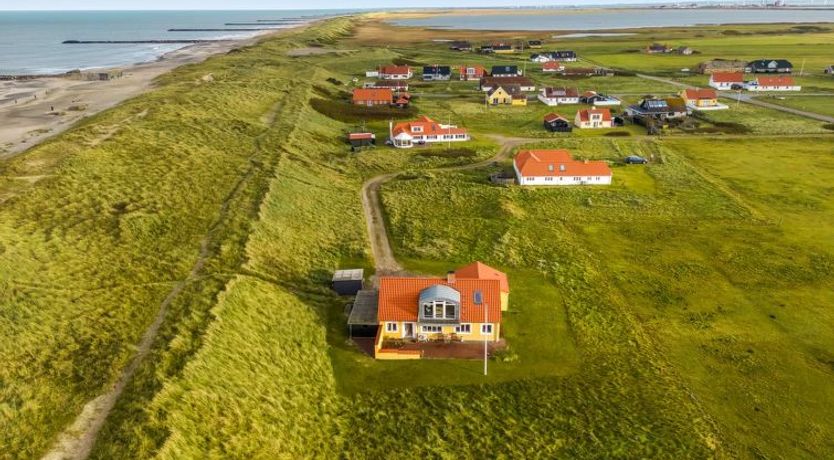 Photo of "Ali" - 75m from the sea