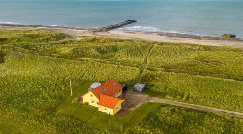 Photo of "Ali" - 75m from the sea