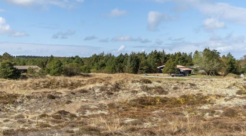 Photo of "Ibo" - 900m from the sea