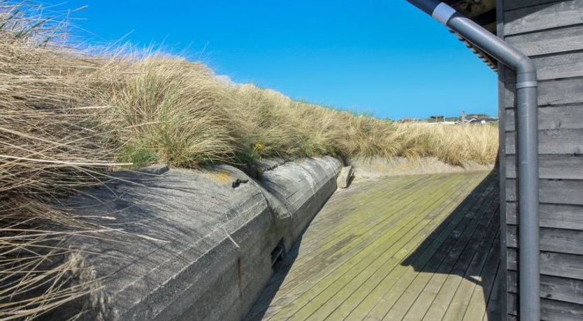 Photo of "Adelita" - 100m from the sea