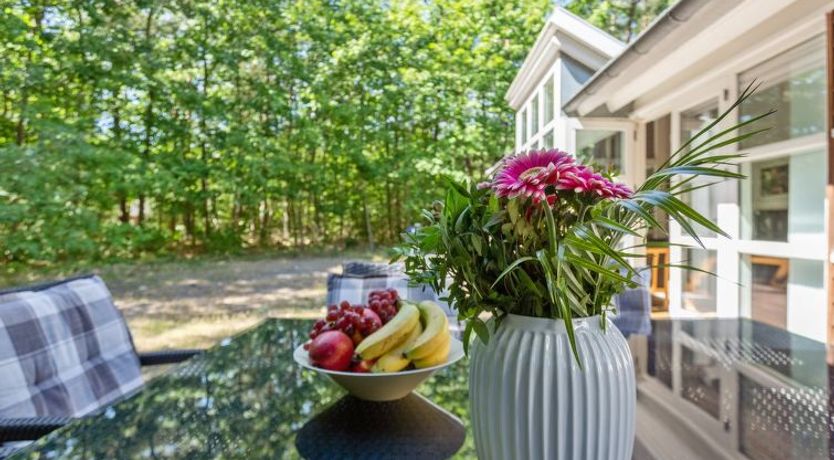 Photo of "Dafne" - 600m from the sea