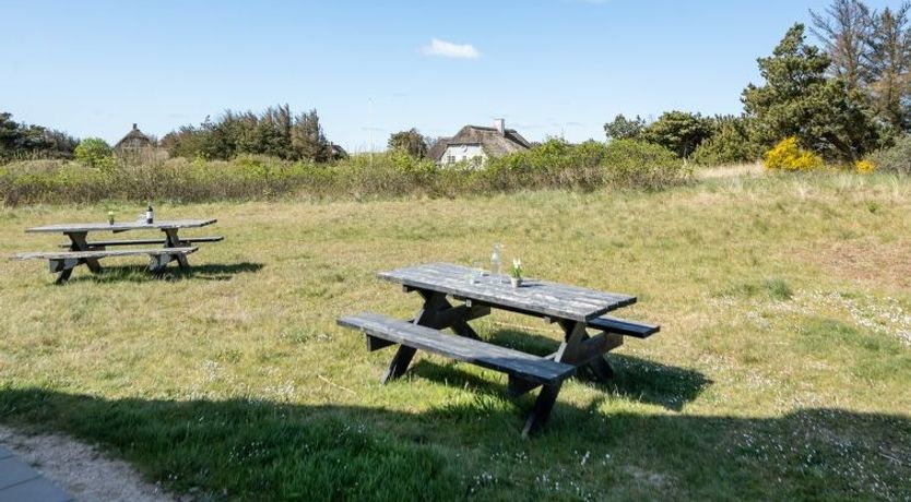 Photo of "Cornelius" - 900m from the sea