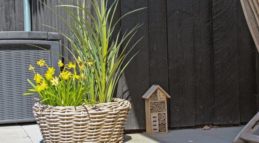 Photo of "Arold" - 800m from the sea