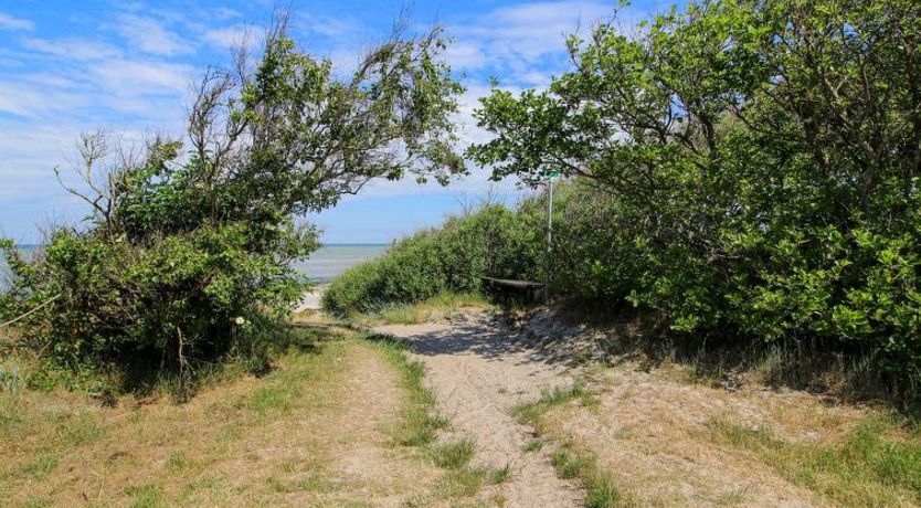Photo of "Ernestina" - 500m from the sea