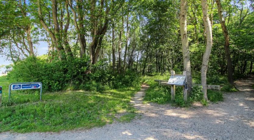 Photo of "Ernestina" - 500m from the sea