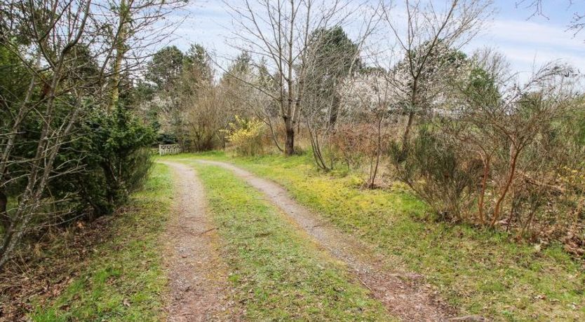 Photo of "Rakita" - 550m from the sea