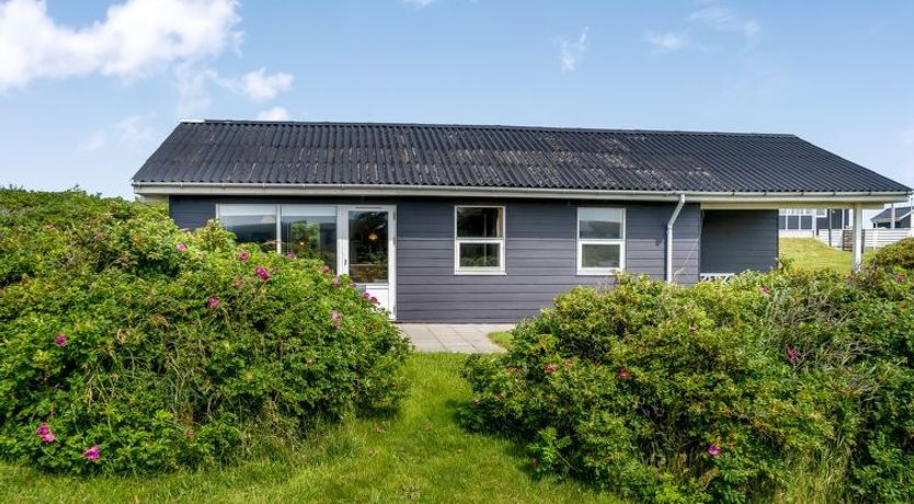 Photo of "Violeta" - 250m from the sea