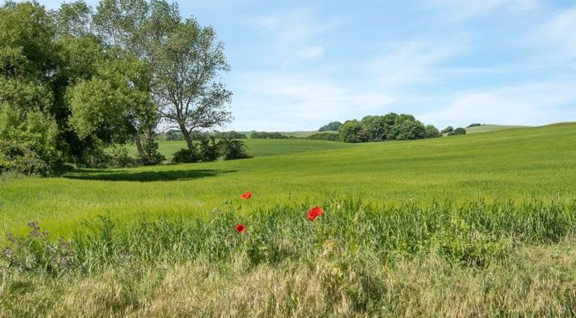 Photo of "Bitha" - 400m from the sea
