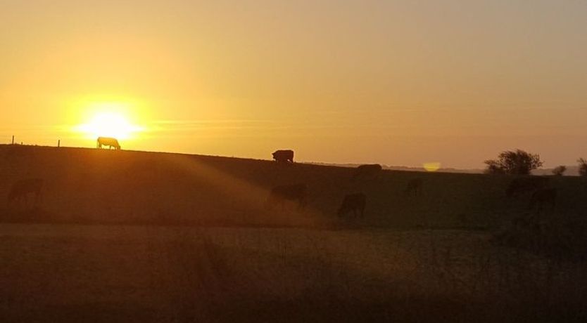 Photo of "Siebelt" - 200m from the sea