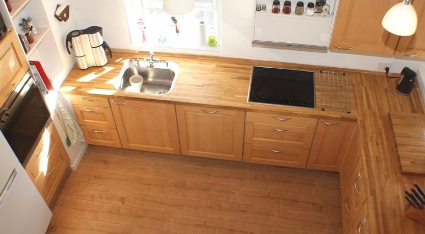 Photo of "Norman" - 150m from the sea