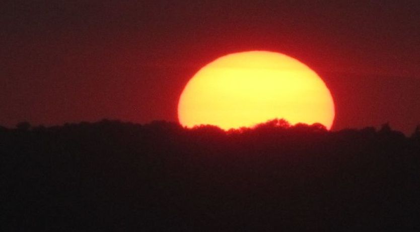 Photo of "Elvin" - 20m from the sea