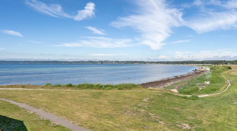 Photo of "Elvin" - 20m from the sea