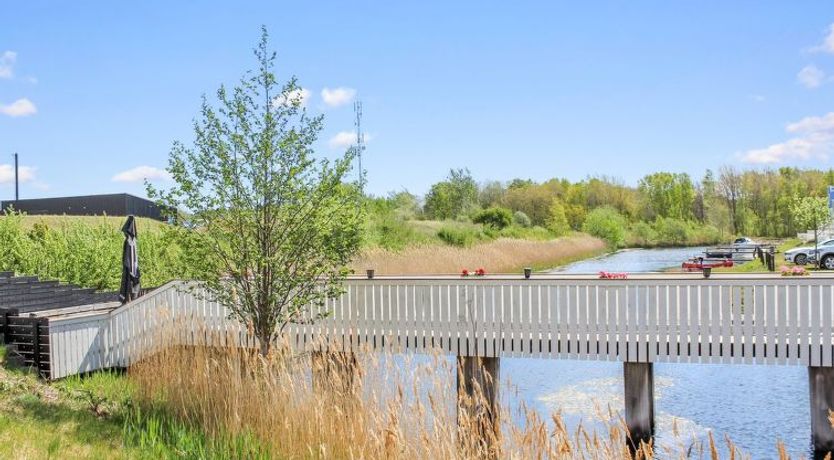 Photo of "Milo" - 5m from the sea