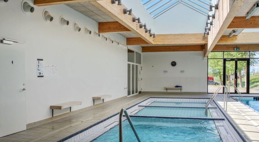 Photo of "Milo" - 5m from the sea