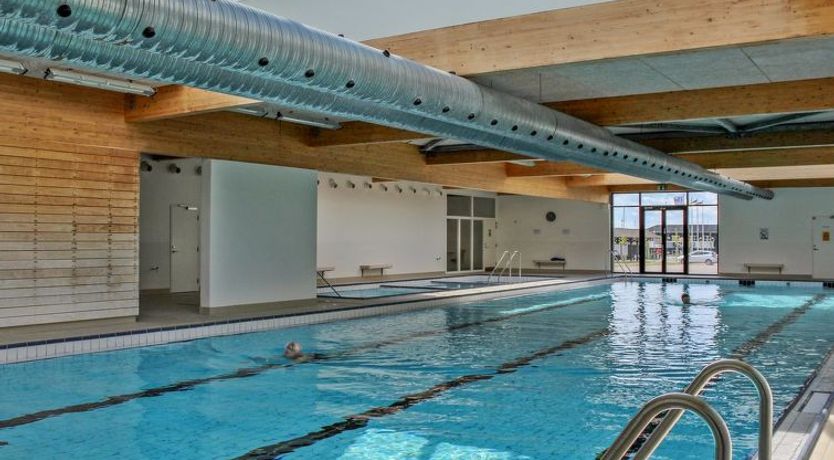 Photo of "Milo" - 5m from the sea