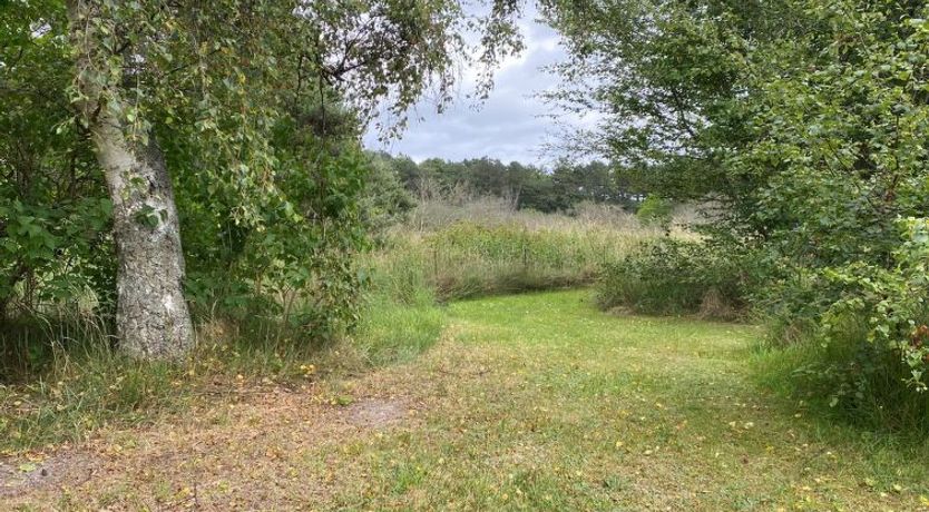 Photo of "Aris" - 480m from the sea