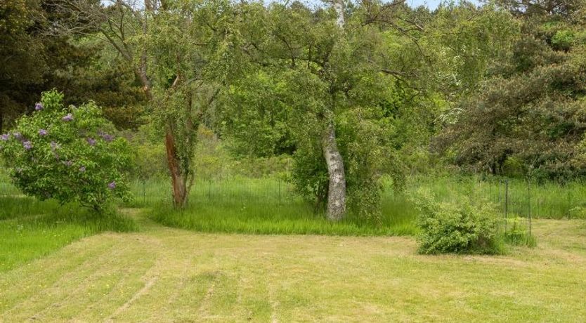 Photo of "Aris" - 480m from the sea