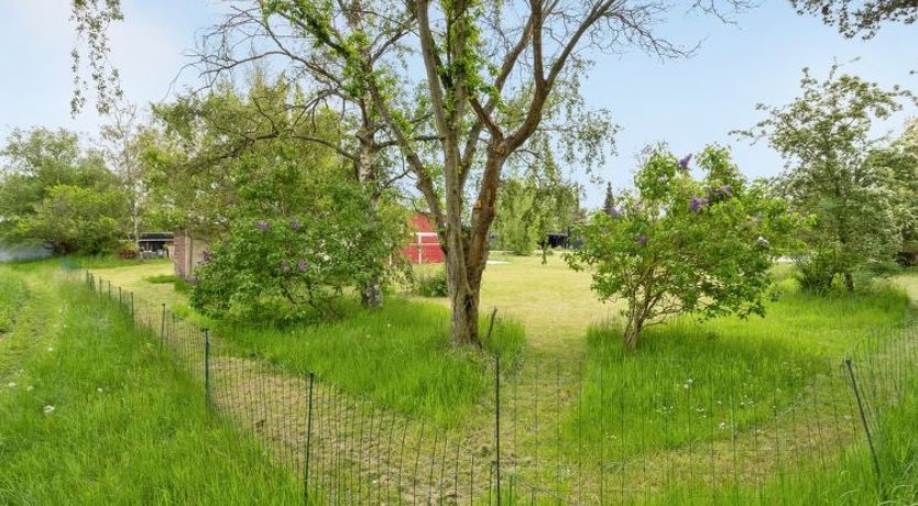 Photo of "Aris" - 480m from the sea