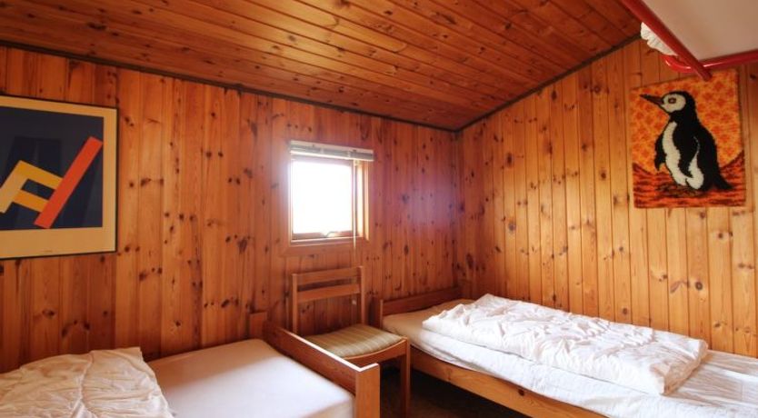 Photo of "Alka" -  from the sea