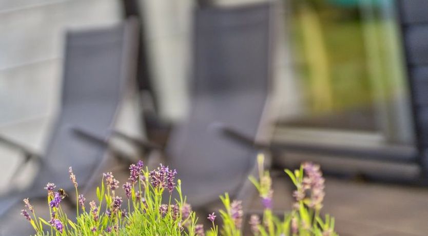 Photo of "Yukon" - 150m from the sea