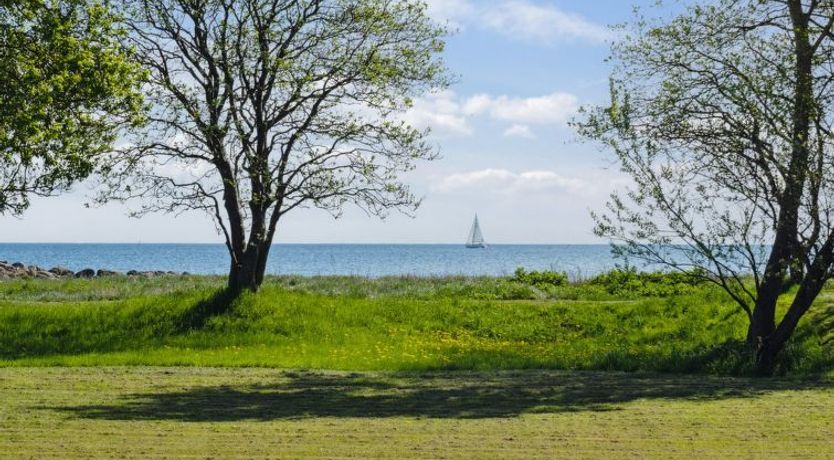 Photo of "Elba" - 100m from the sea