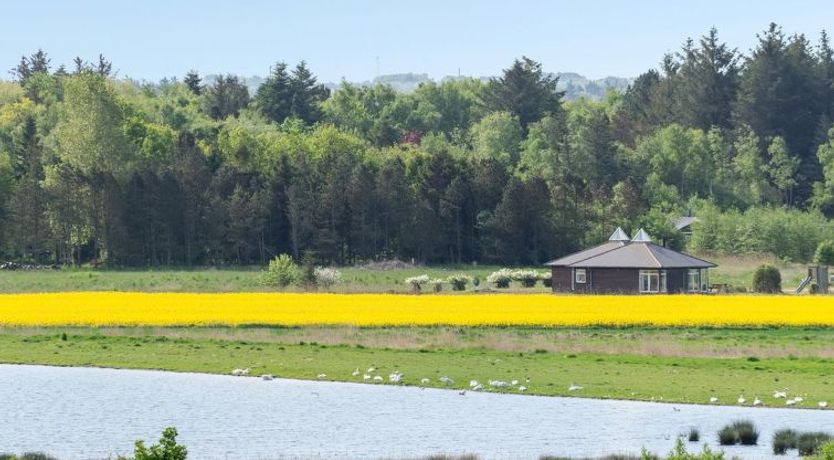 Photo of "Jügen" - 900m to the fjord