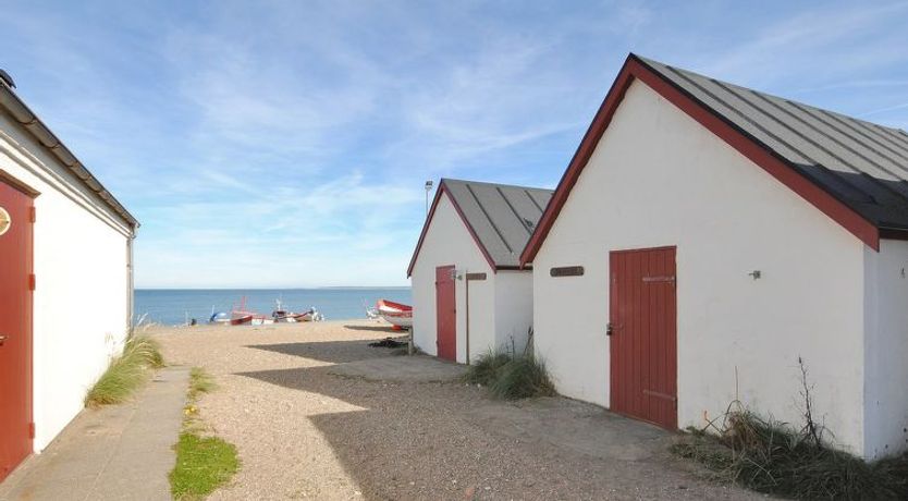 Photo of "Luzy" - 600m from the sea