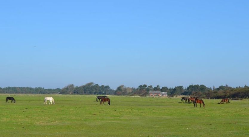 Photo of "Lin" - 2.9km from the sea