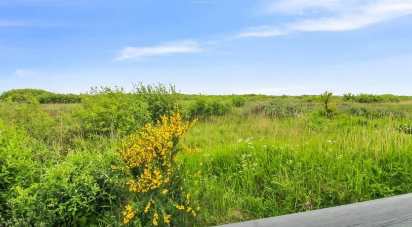 Photo of "Kylli" - 600m from the sea