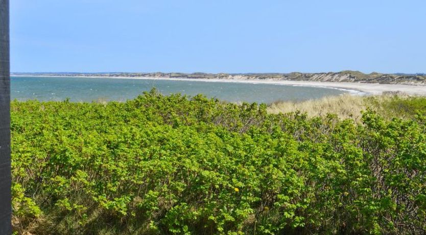 Photo of "Legolas" - 50m from the sea