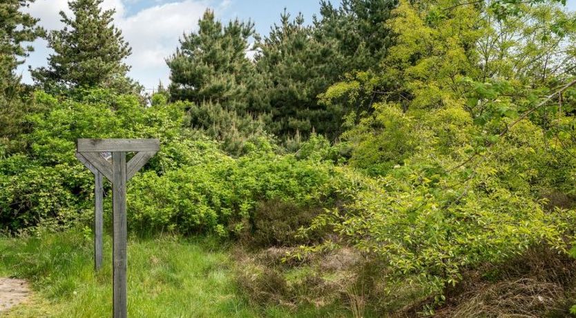 Photo of "Livni" - 3.8km from the sea