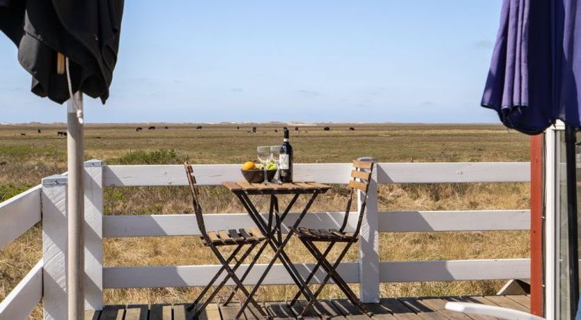 Photo of "Blomma" - 350m from the sea