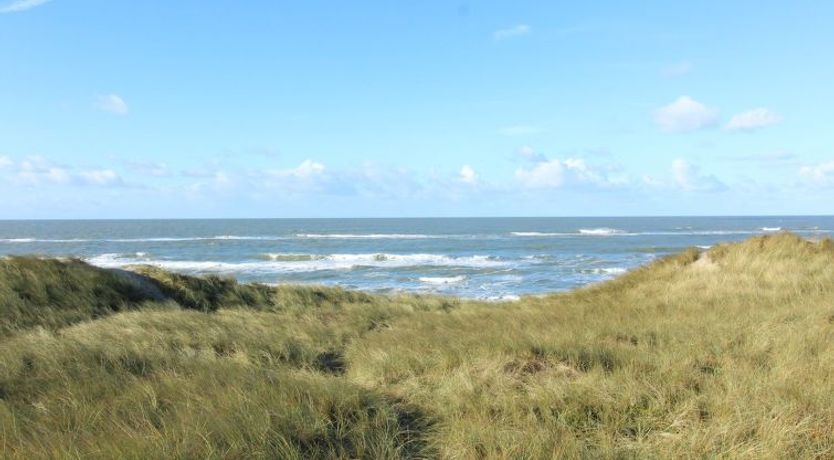 Photo of "Laetitita" -  from the sea