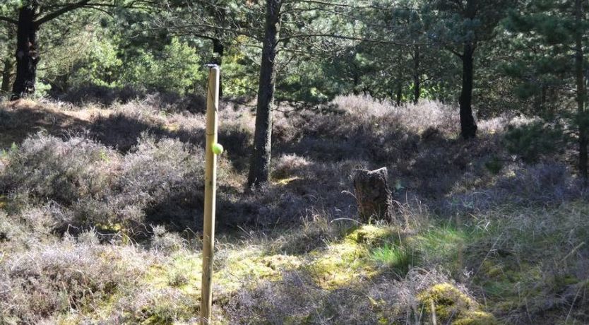 Photo of "Angret" - 3.5km from the sea