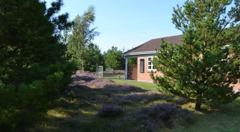 Photo of "Angret" - 3.5km from the sea