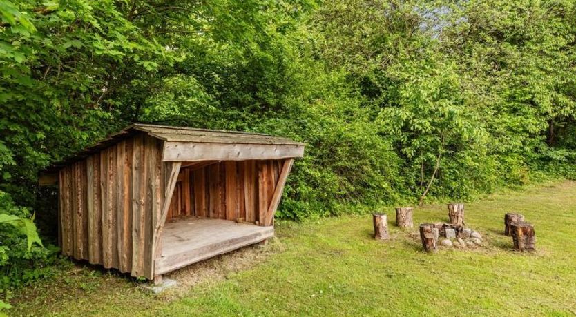 Photo of "Kiro" - 3km from the sea