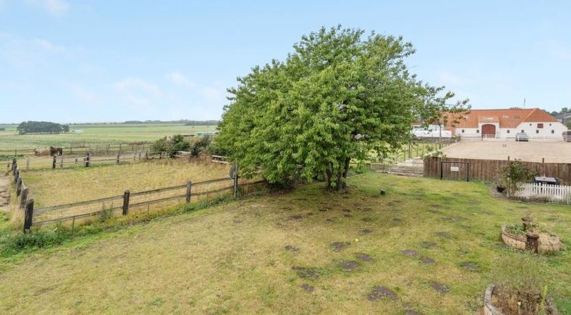 Photo of "Miko" - 19km from the sea