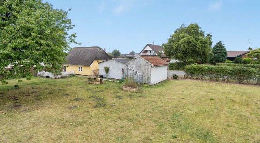 Photo of "Miko" - 19km from the sea