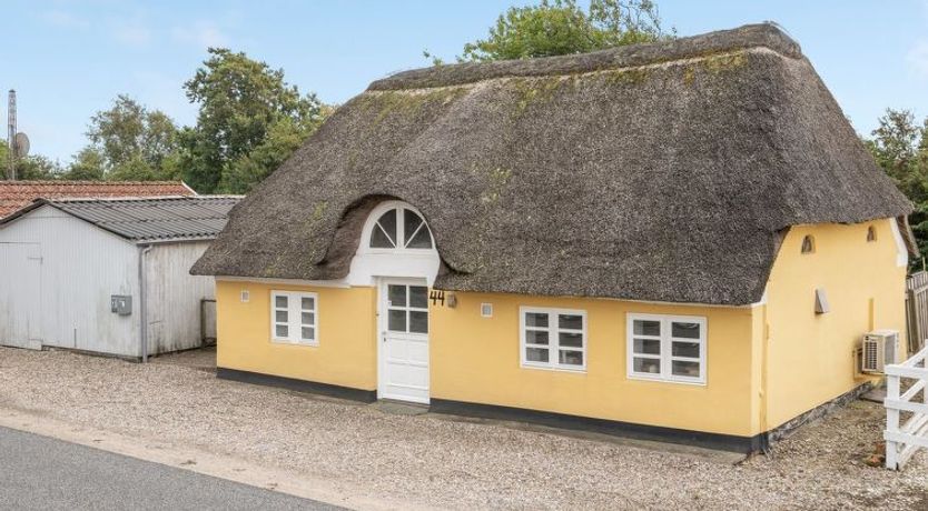 Photo of "Miko" - 19km from the sea