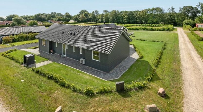 Photo of "Damiana" - 500m from the sea